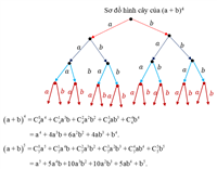 Nhị Thức Newton: Công Thức Kinh Điển Mà Ai Học Toán Cũng Nên Biết