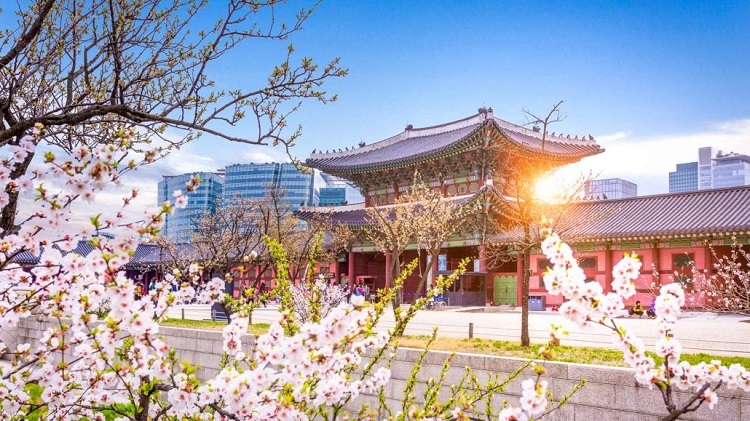 Du học Hàn Quốc cần chuẩn bị gì